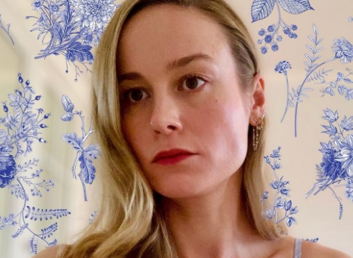 Who Is Brie Larson Married To